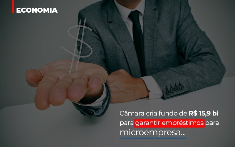 Camara Cria Fundo De Rs 15 9 Bi Para Garantir Emprestimos Para Microempresa Notícias E Artigos Contábeis - Contabilidade